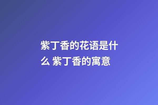 紫丁香的花语是什么 紫丁香的寓意